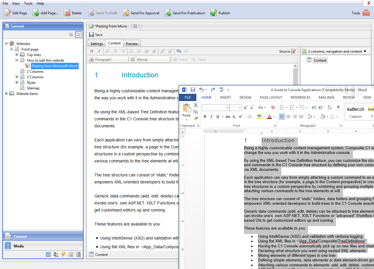 Paste from Microsoft Word