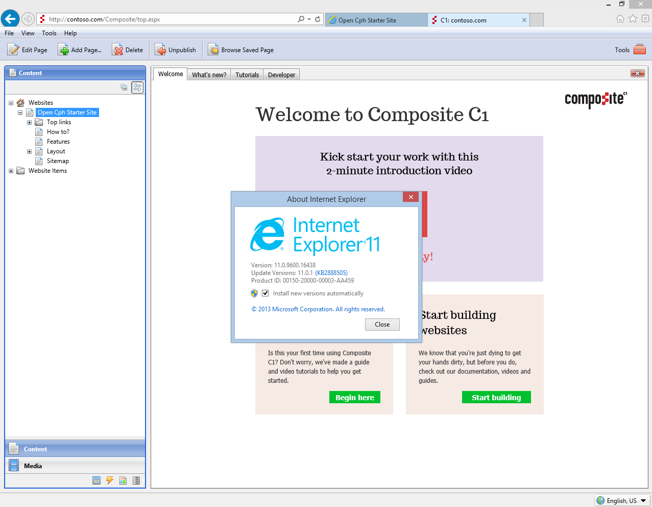  Internet Explorer 11 support