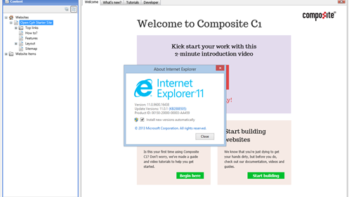 Internet Explorer 11 support