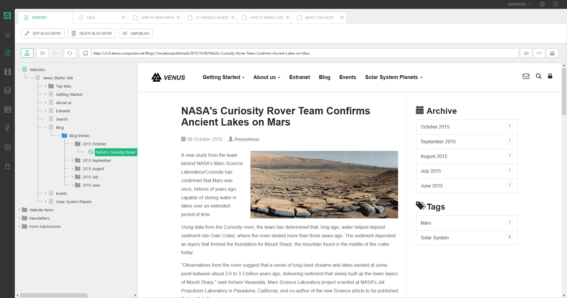 Data item browser previews